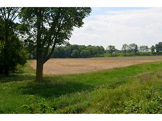 Property photo 17 - FARM & LAND AUCTION - 125+/- ACRES OFFERED IN 5 TRACTS IN EAST ALLEN COUNTY, INDIANA